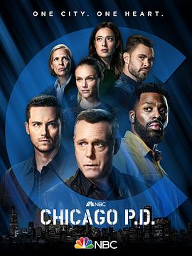 芝加哥警署 第9季